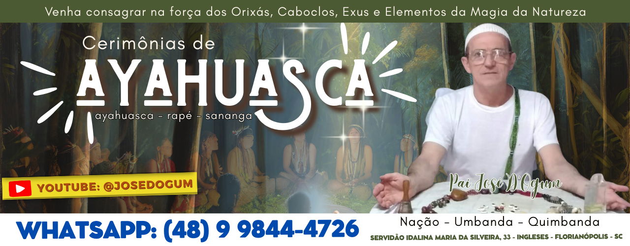 Ayahuasca em Florianópolis Ayahuasca em Florianópolis